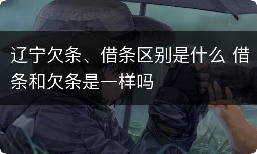 辽宁欠条、借条区别是什么 借条和欠条是一样吗