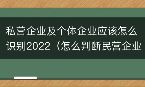 私营企业及个体企业应该怎么识别2022（怎么判断民营企业和私营企业）