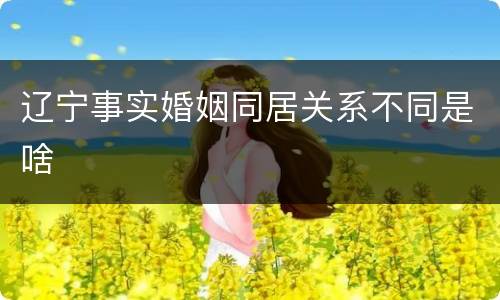 辽宁事实婚姻同居关系不同是啥