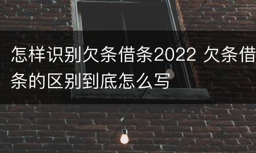 怎样识别欠条借条2022 欠条借条的区别到底怎么写
