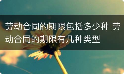 劳动合同的期限包括多少种 劳动合同的期限有几种类型