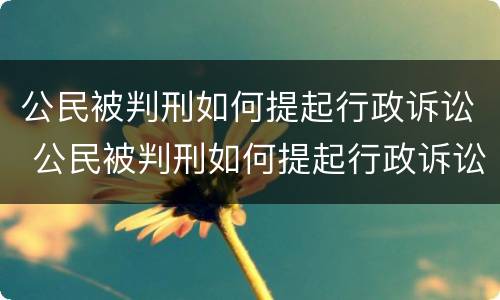 公民被判刑如何提起行政诉讼 公民被判刑如何提起行政诉讼案件