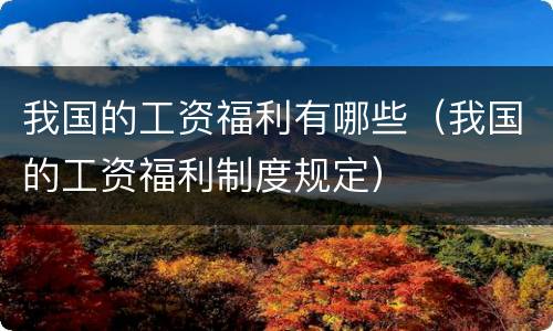 我国的工资福利有哪些（我国的工资福利制度规定）
