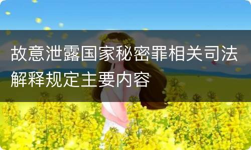 故意泄露国家秘密罪相关司法解释规定主要内容