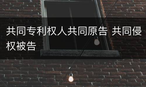 共同专利权人共同原告 共同侵权被告