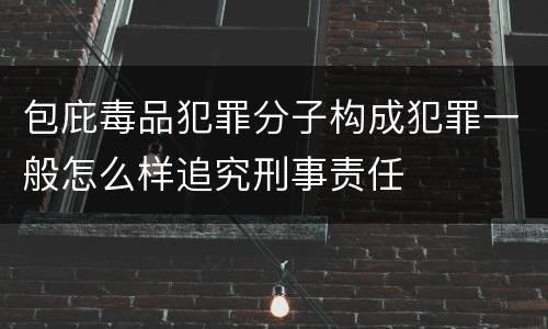 包庇毒品犯罪分子构成犯罪一般怎么样追究刑事责任
