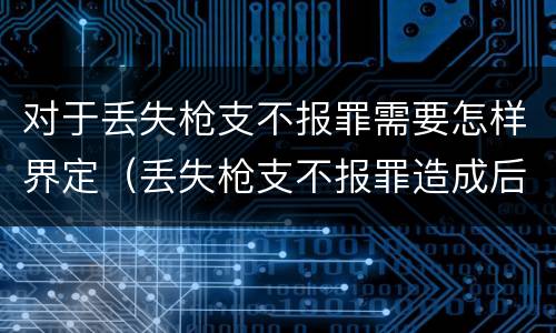 对于丢失枪支不报罪需要怎样界定（丢失枪支不报罪造成后果）