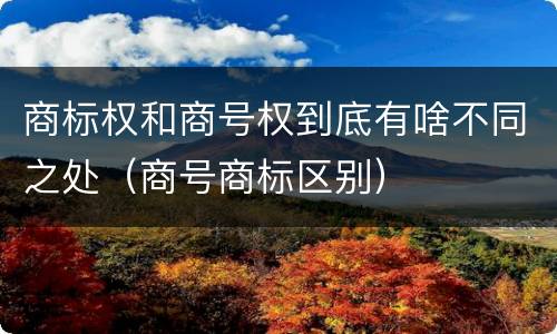 商标权和商号权到底有啥不同之处（商号商标区别）