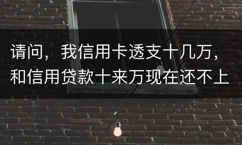 请问，我信用卡透支十几万，和信用贷款十来万现在还不上了。情节严重会咋样，怎么判刑