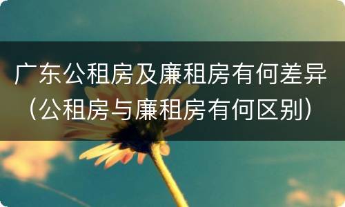 广东公租房及廉租房有何差异（公租房与廉租房有何区别）