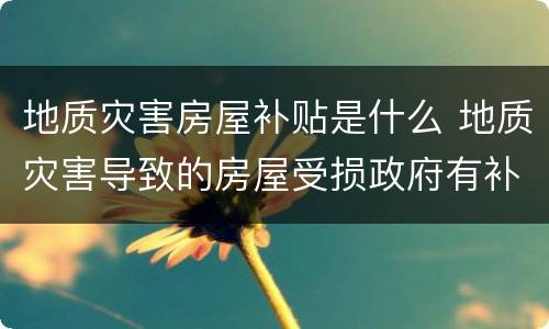 地质灾害房屋补贴是什么 地质灾害导致的房屋受损政府有补助吗?