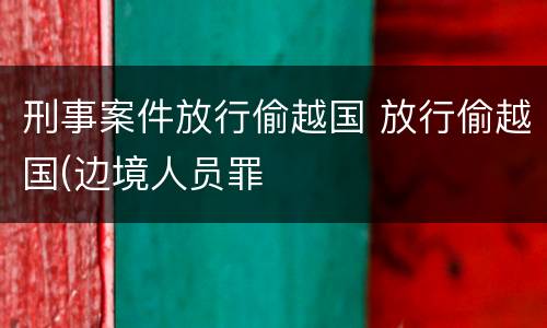 刑事案件放行偷越国 放行偷越国(边境人员罪