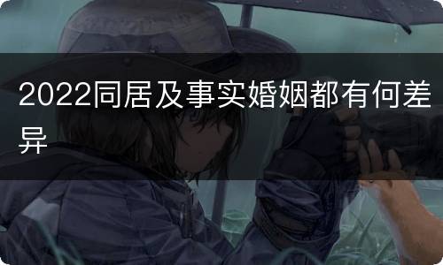 2022同居及事实婚姻都有何差异