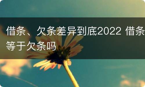 借条、欠条差异到底2022 借条等于欠条吗