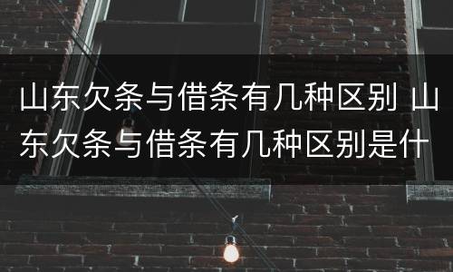 山东欠条与借条有几种区别 山东欠条与借条有几种区别是什么