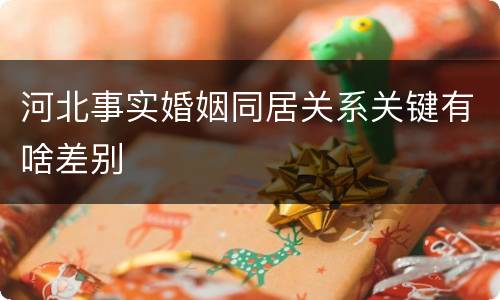 河北事实婚姻同居关系关键有啥差别