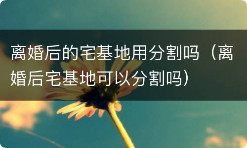 离婚后的宅基地用分割吗(离婚后宅基地可以分割吗)