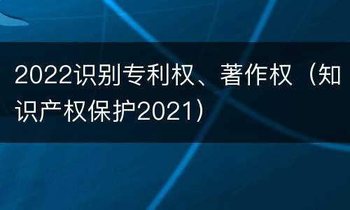 2022识别专利权、著作权（知识产权保护2021）
