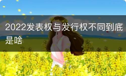 2022发表权与发行权不同到底是啥