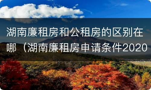 湖南廉租房和公租房的区别在哪（湖南廉租房申请条件2020）