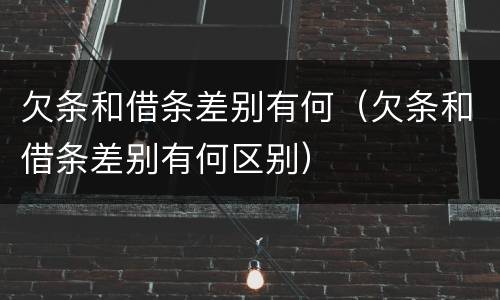 欠条和借条差别有何（欠条和借条差别有何区别）