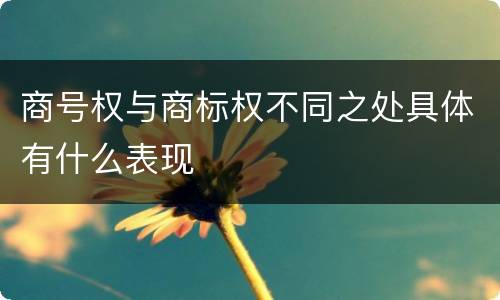 商号权与商标权不同之处具体有什么表现