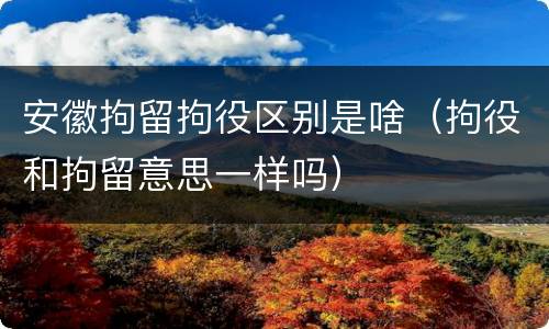 安徽拘留拘役区别是啥（拘役和拘留意思一样吗）