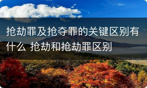 抢劫罪及抢夺罪的关键区别有什么 抢劫和抢劫罪区别