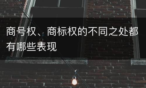 商号权、商标权的不同之处都有哪些表现