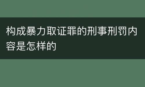 构成暴力取证罪的刑事刑罚内容是怎样的