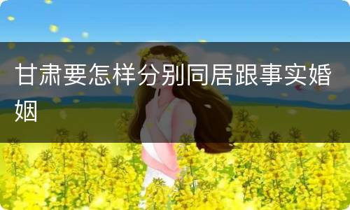 甘肃要怎样分别同居跟事实婚姻