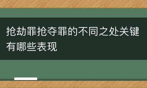 抢劫罪抢夺罪的不同之处关键有哪些表现