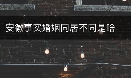 安徽事实婚姻同居不同是啥