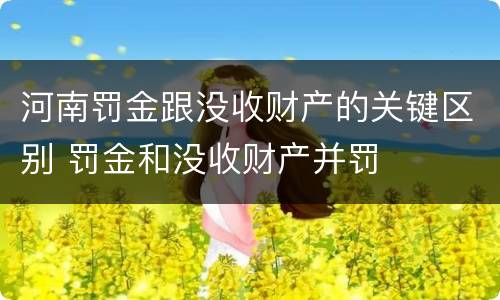 河南罚金跟没收财产的关键区别 罚金和没收财产并罚
