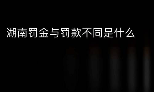 湖南罚金与罚款不同是什么
