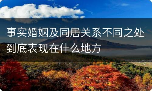 事实婚姻及同居关系不同之处到底表现在什么地方