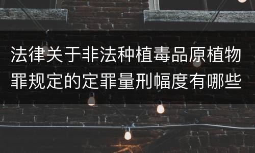 法律关于非法种植毒品原植物罪规定的定罪量刑幅度有哪些