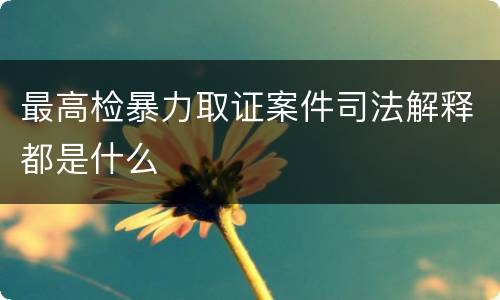 最高检暴力取证案件司法解释都是什么