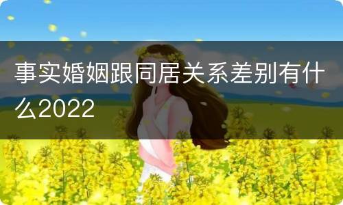 事实婚姻跟同居关系差别有什么2022
