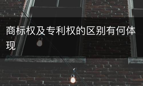 商标权及专利权的区别有何体现