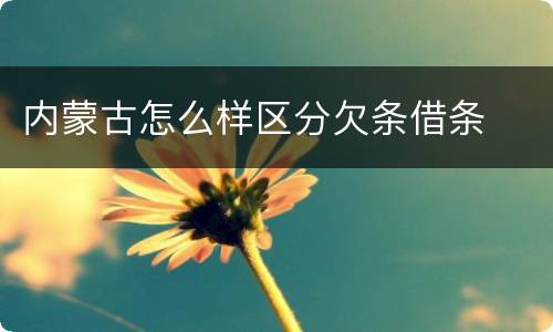内蒙古怎么样区分欠条借条