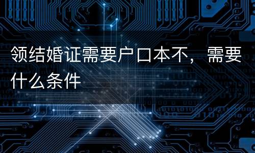 领结婚证需要户口本不，需要什么条件
