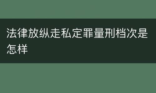 法律放纵走私定罪量刑档次是怎样