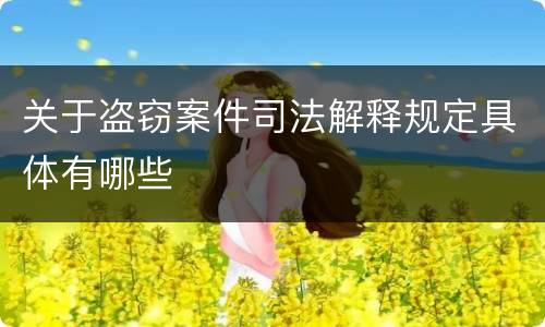 关于盗窃案件司法解释规定具体有哪些