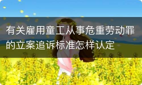有关雇用童工从事危重劳动罪的立案追诉标准怎样认定