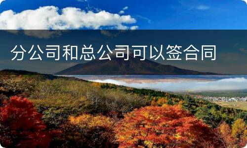 分公司和总公司可以签合同
