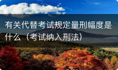 有关代替考试规定量刑幅度是什么（考试纳入刑法）