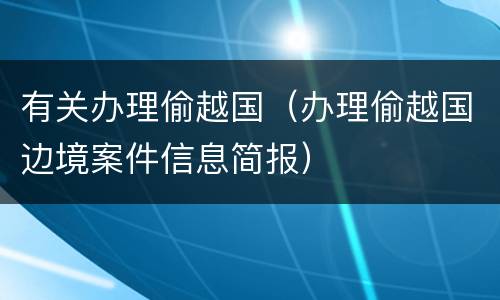 有关办理偷越国（办理偷越国边境案件信息简报）