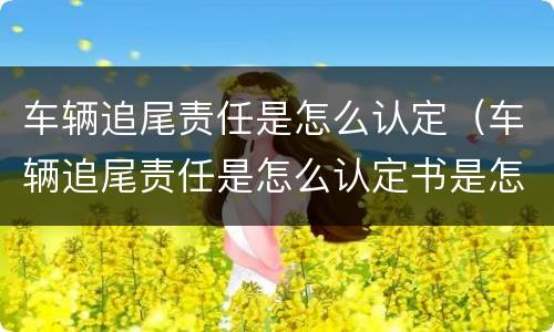车辆追尾责任是怎么认定（车辆追尾责任是怎么认定书是怎么样的）
