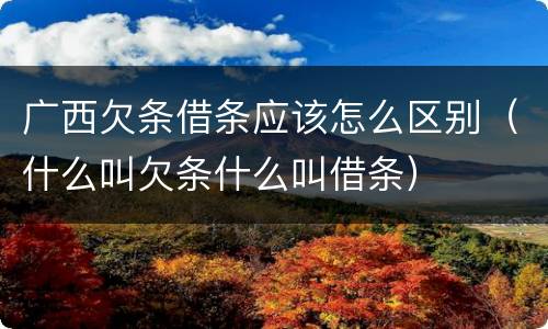 广西欠条借条应该怎么区别（什么叫欠条什么叫借条）